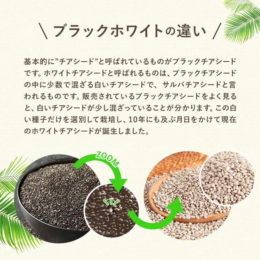 ホワイトチアシードとは