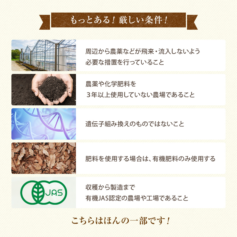 安全性について