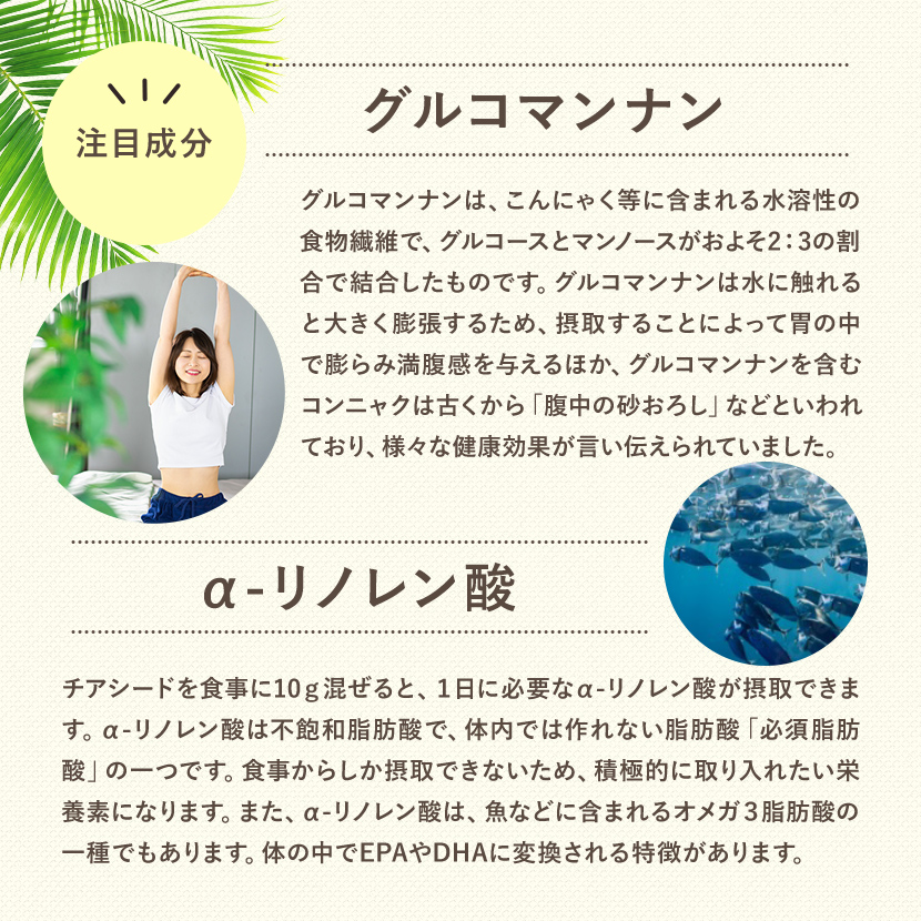 豊富な栄養素