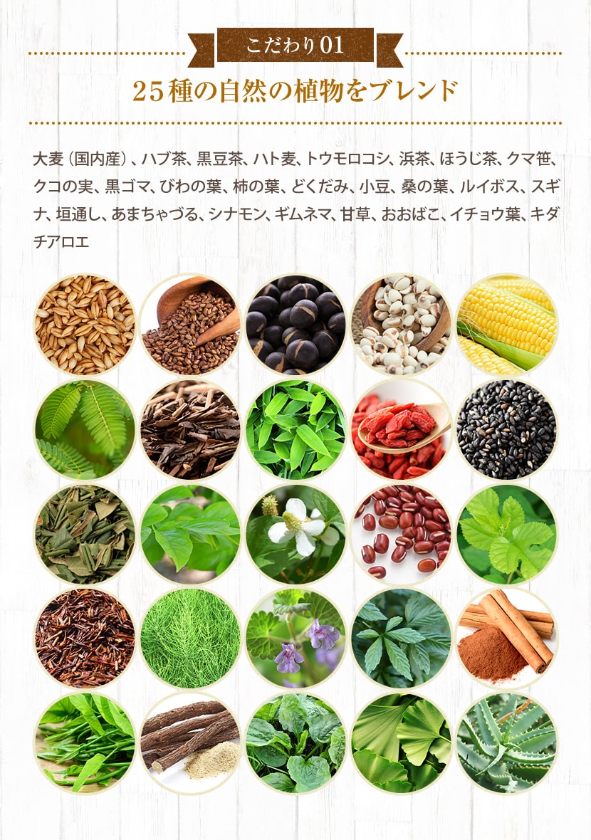 送料込み 無農薬 枇杷の葉 50枚➕おまけ ビワ お茶 - 野菜