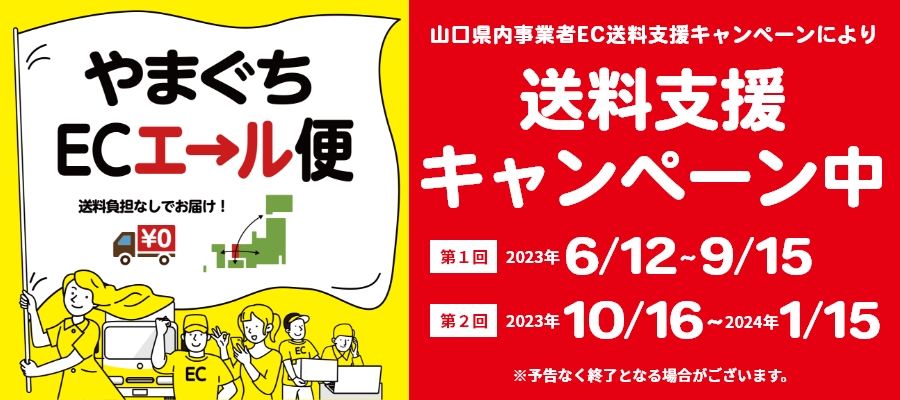 DIXCEL ディクセル PD ブレーキローター 1台分 ラフェスタ ハイウェイ