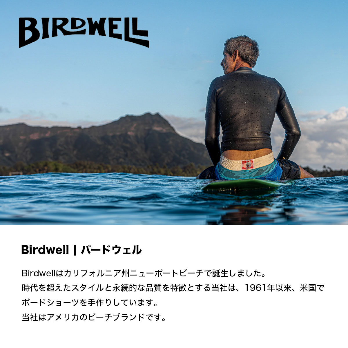 BIRDWELL バードウェル スナップバック メッシュキャップ サーフ バードウェル メンズ メッシュキャップ 帽子 5パネル 黒