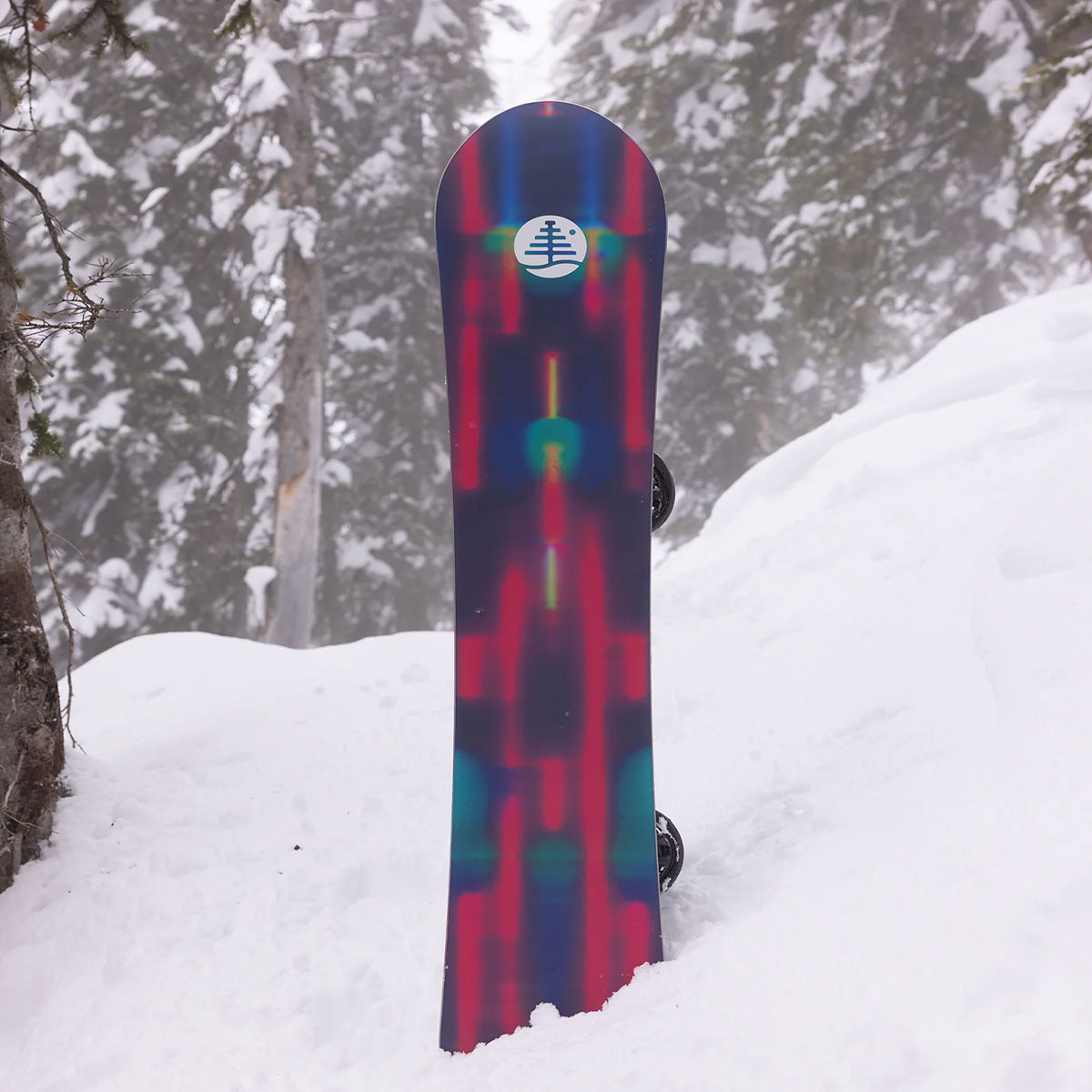 BURTON バートン スノーボード 板 152cm ファミリーツリー