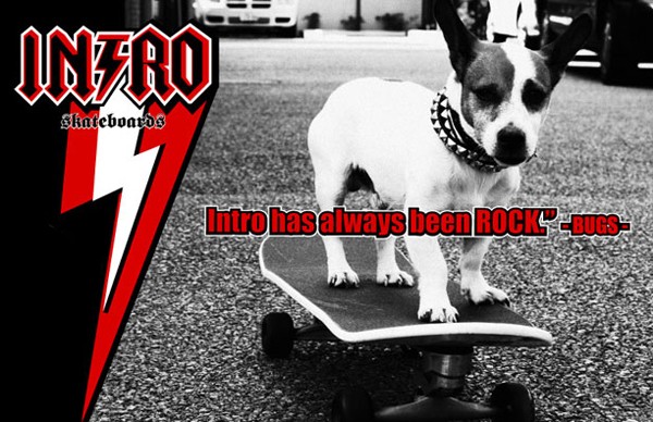 スケートボード イントロ INTRO SKATE BOARD コンプリート 20ss-sk8-drag_29fd1.jpg