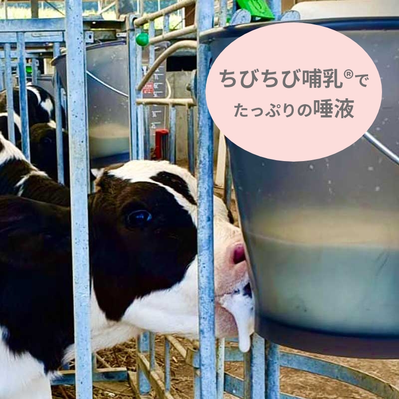 3043ミルク・バー バケツ1 乳首（9L）