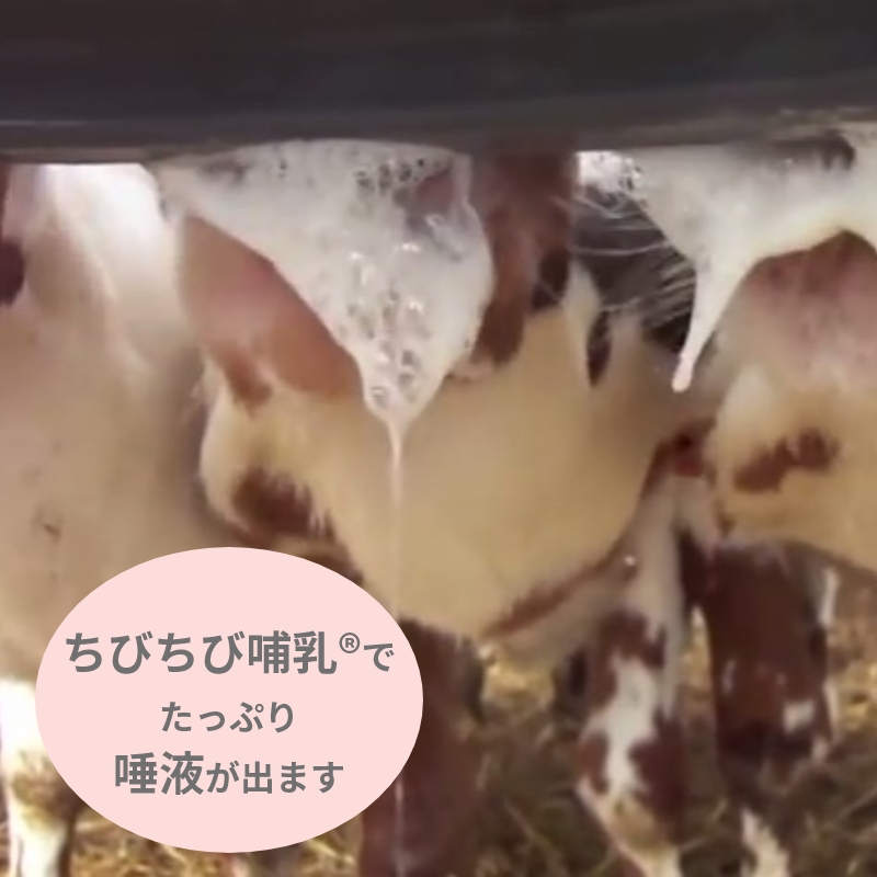ミルク・バー 乳首 （黒）