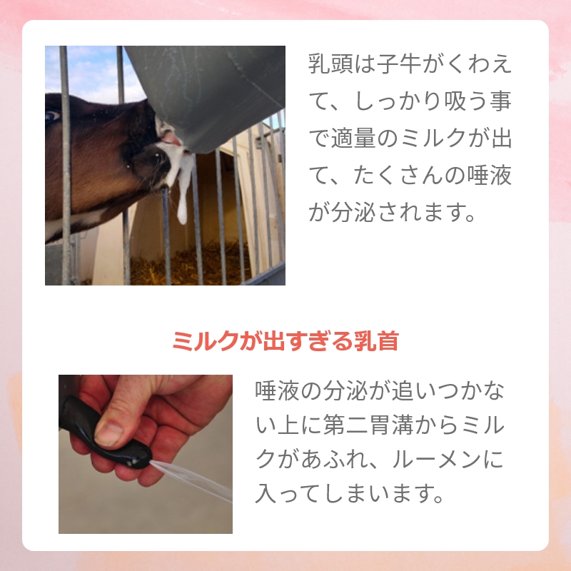 ミルク・バー 乳首 （黒）