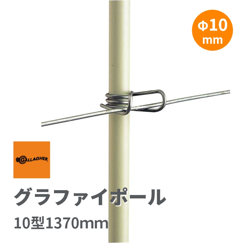 値下げ中8950円→8500円】アカシアテレサ 沢山の蕾付き であわ