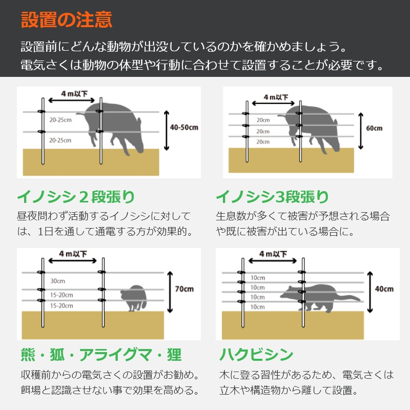 さやさやさま　専用ページ　取置き中 楽天市場】ソニック やわカタ下敷き SK-4081-T B5 クリア