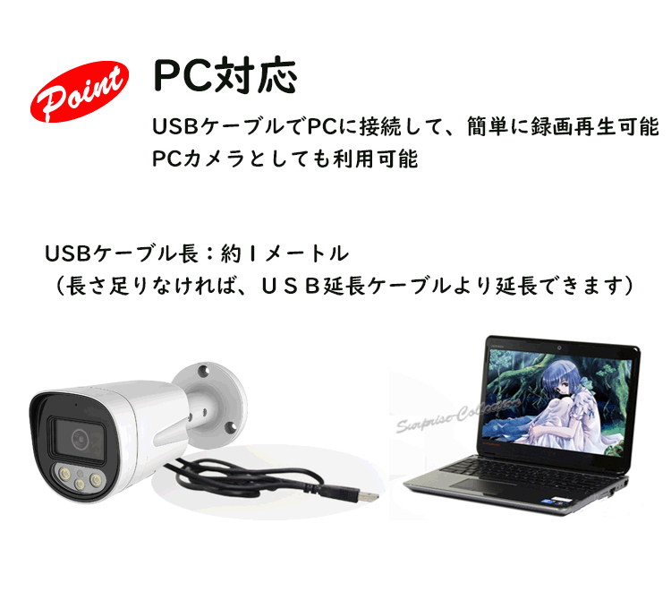 防犯カメラ 8GBMicroSDカード付き 監視カメラ 防滴 SDカード録画