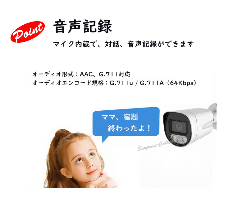 防犯カメラ 監視カメラ SDカード録画 録音 赤外線 暗視 256GB対応 夜間