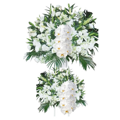 胡蝶蘭付きスタンド花(2段) 花色選べる5色 30000円(税別) 180cm位 設置