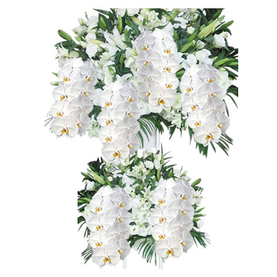 胡蝶蘭付きスタンド花(2段) 花色選べる5色 50000円(税別) 180cm