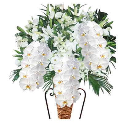 胡蝶蘭付きスタンド花(コーン) 花色選べる5色 30000円(税別 胡蝶蘭付きスタンド花(コーン) 花色選べる5色 30000円(税別