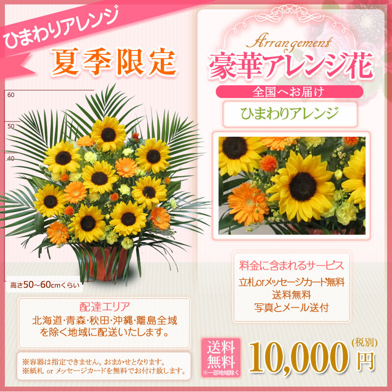 ひまわり