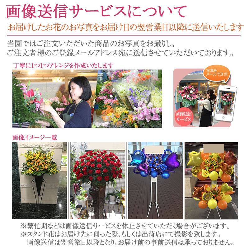 バルーンスタンド花 1段 選べる5色 円 税別 180cm位 設置 回収無料 東京都 神奈川県 名古屋市 大阪府 福岡市 お祝い 開店 開業 開院 花 Stde St Balloon スタンド花専門 海老名洋蘭園 通販 Yahoo ショッピング