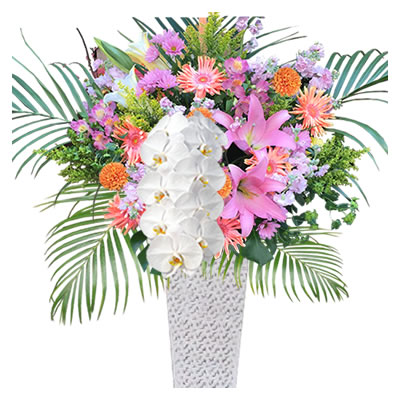 胡蝶蘭付きスタンド花(アイアン) 花色選べる5色 20000円(税別