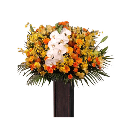 胡蝶蘭付きスタンド花(木製) 花色選べる5色 20000円(税別) 180cm位