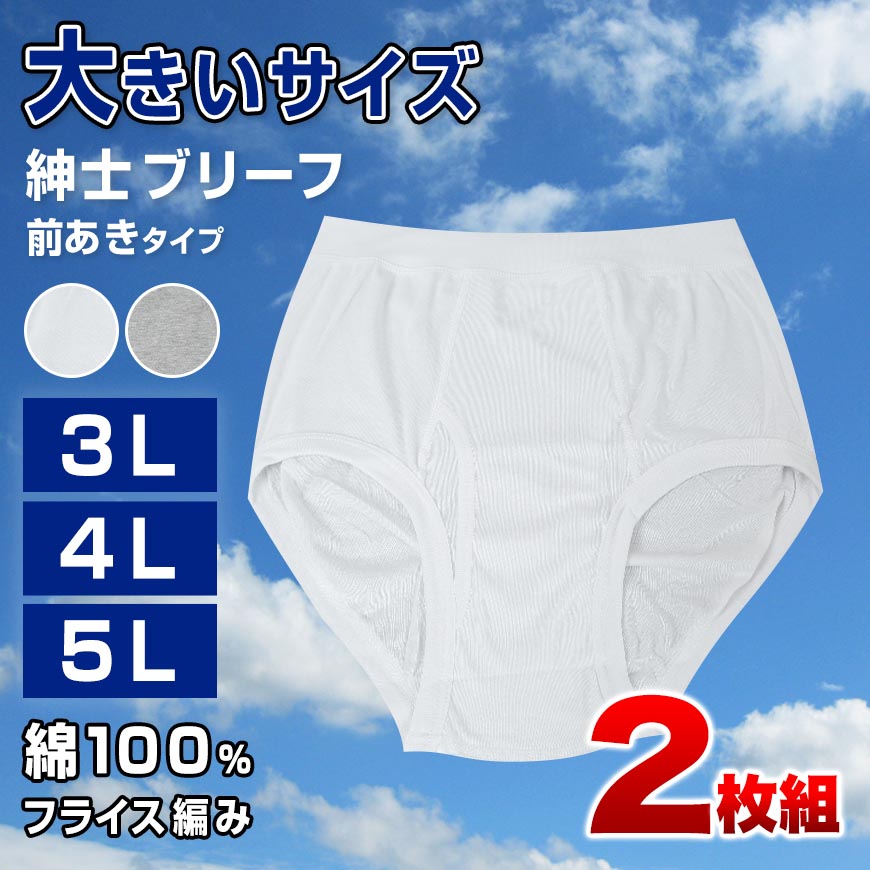 ブリーフ 綿100% 大きいサイズ 2枚組 3L 4L 5L 前あき メンズ 下着
