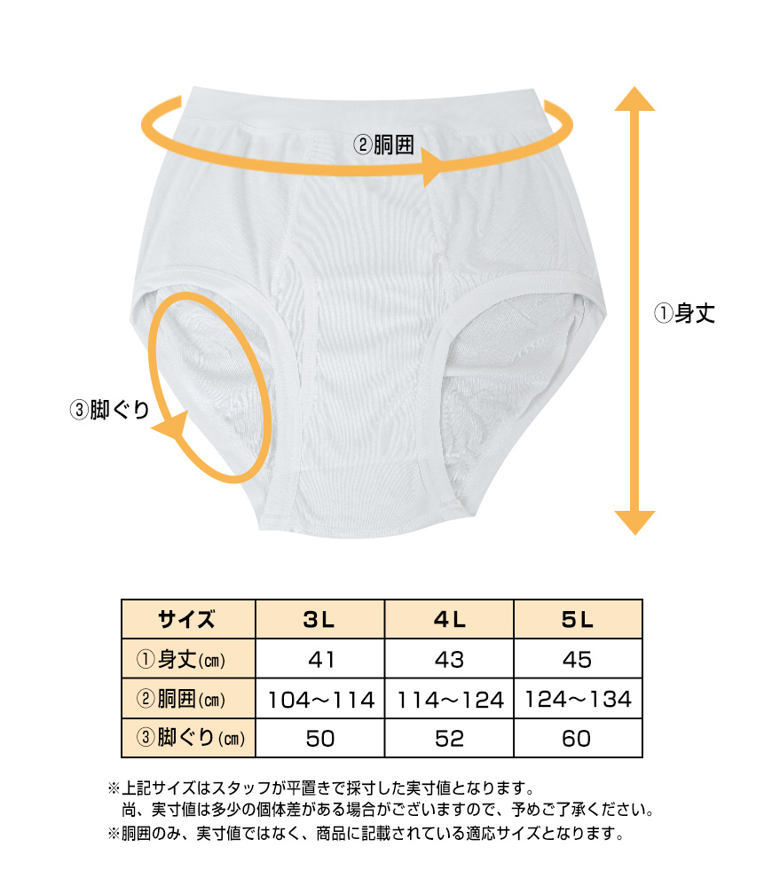 ブリーフ 綿100% 大きいサイズ 2枚組×5セット 3L 4L 5L 前あき メンズ