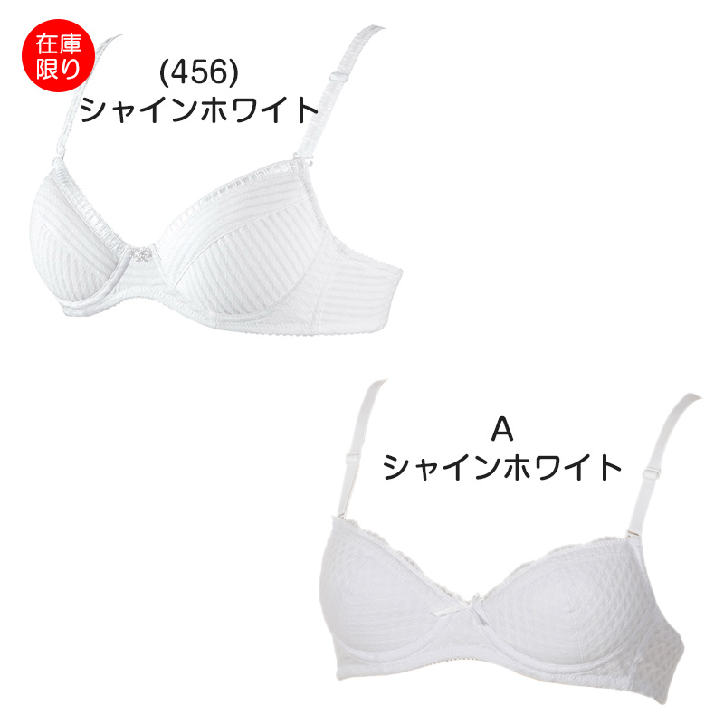 アツギ ジュニア ブラジャー 超ソフトワイヤー ジュニアブラ 綿 A65