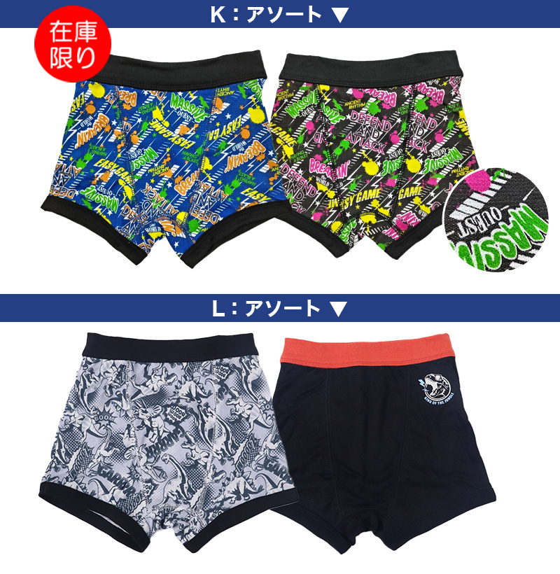 男児 ボクサーブリーフ ジュニア 男の子 下着 キッズ パンツ 2枚組 100cm〜130cm ( 男子 ボクサーパンツ 小学生 幼稚園 保育園 プレゼント 100 110 120 130)