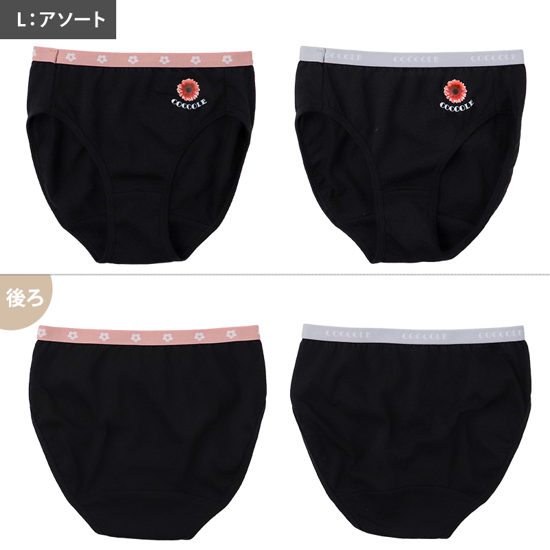 ジュニア ショーツ 女の子 女児 2枚組 キッズ インナー パンツ ガールズ 下着 140 150 160 165 cm 綿混 ストレッチ シンプル 小学生 中学生