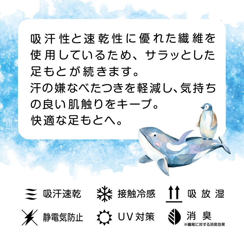 ATSUGI ソックス ひざ下丈 ショートソックス ショート