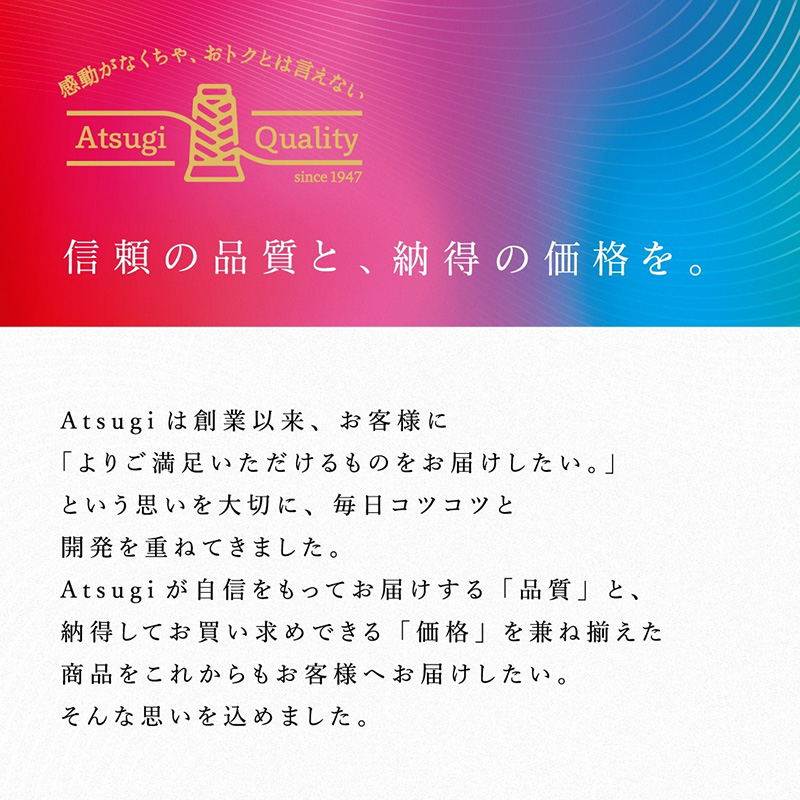 ストッキング アツギ レディース アツギストッキング 25デニール パンティストッキング 2足組 美しい M-L・L-LL ベージュ 肌色 黒 パンスト 透け感