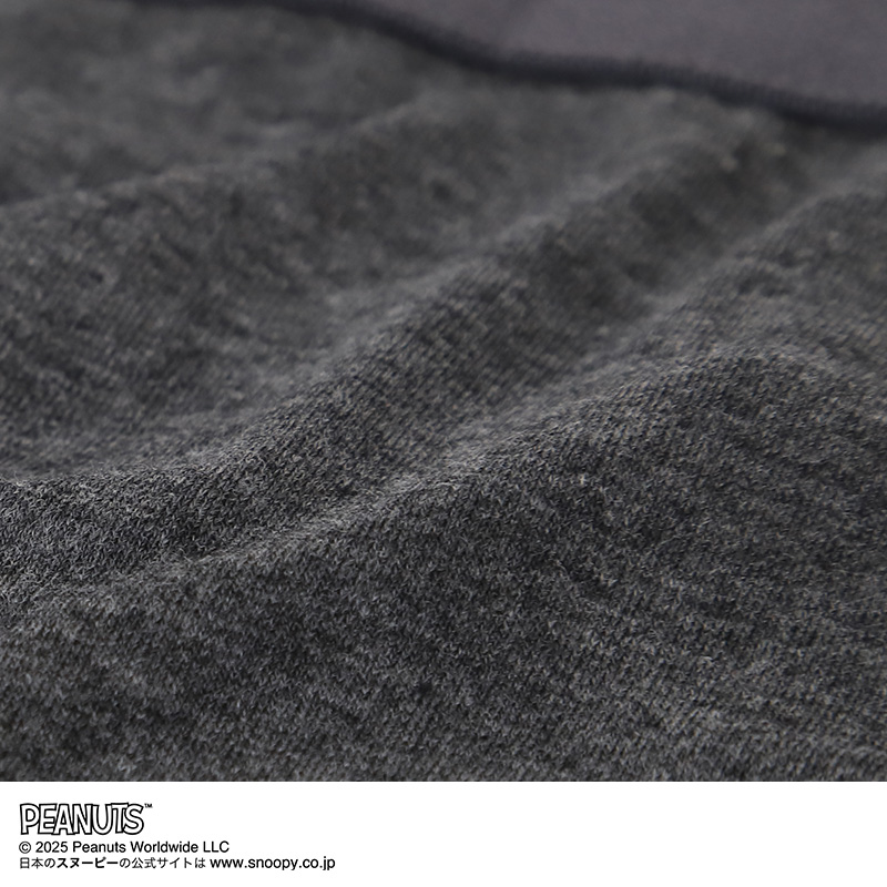 ショーツ 女の子 キッズ スヌーピー 女児 パンツ 綿 2枚組 130cm 140cm 150cm 160cm ジュニア ピーナッツ 子供 下着 肌着 インナー 子ども コットン セット 2p