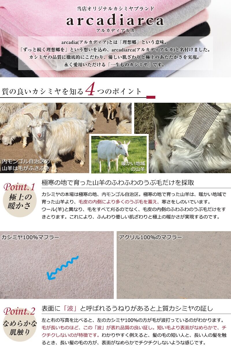 カシミヤ100% ストール 無地 レディース フリーサイズ (大判 マフラー カシミア 通勤 通学 防寒 暖かい 冬 シンプル arcadiarca) (送料無料) (在庫限り)