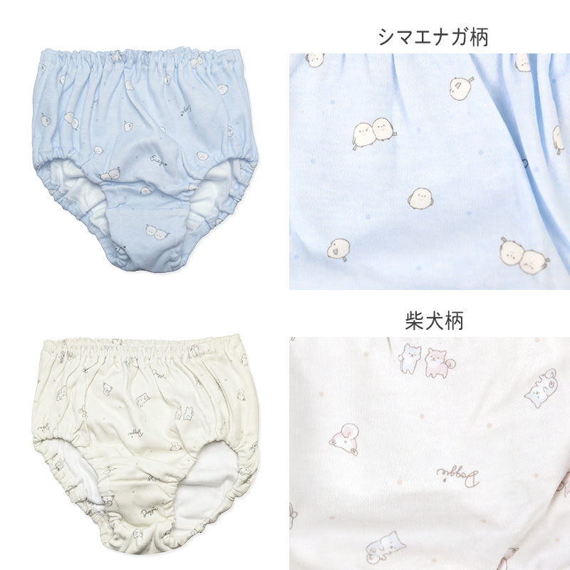 女の子 ショーツ パンツ 綿100％ 2枚組 日本製 140 150 160 165cm 女児 綿素材 日本製 インナー 下着 肌着 ジュニア キッズ 子供 小学生 中学生 女の子 かわいい