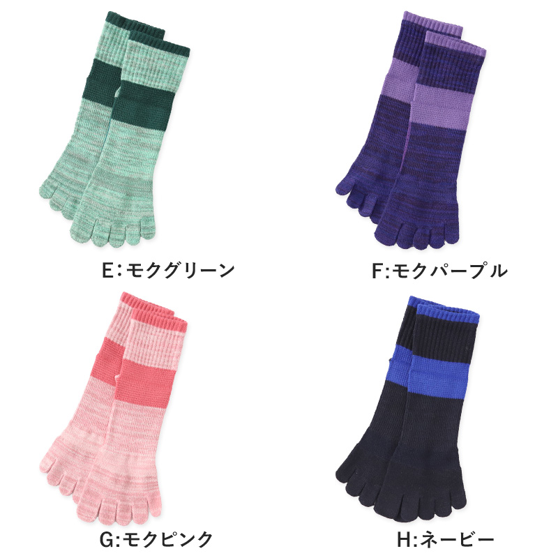 GUNZE グンゼ アクティブスタイル 5本指ソックス レディース