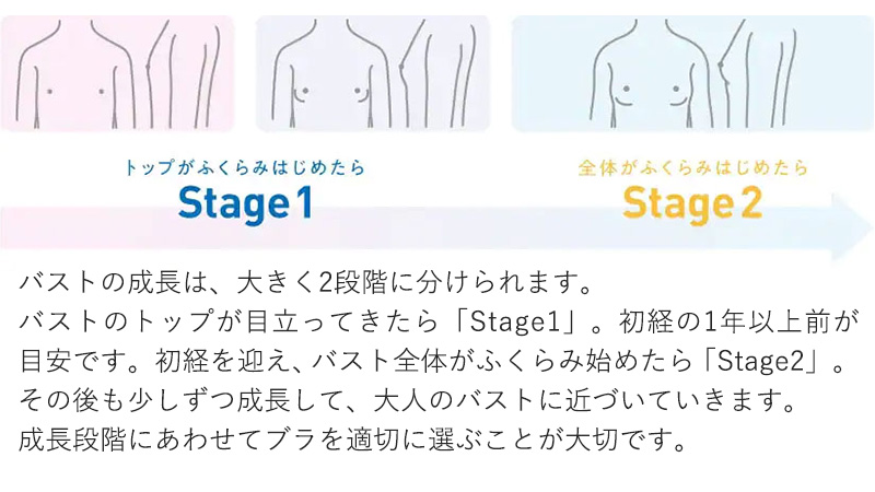 グンゼ スポブラ 小学生 胸二重パット付き ハーフトップ 140〜160cm 子供 下着 キッズ スポーツブラ 女の子 ジュニアブラ ブラジャー 胸二重 インナー
