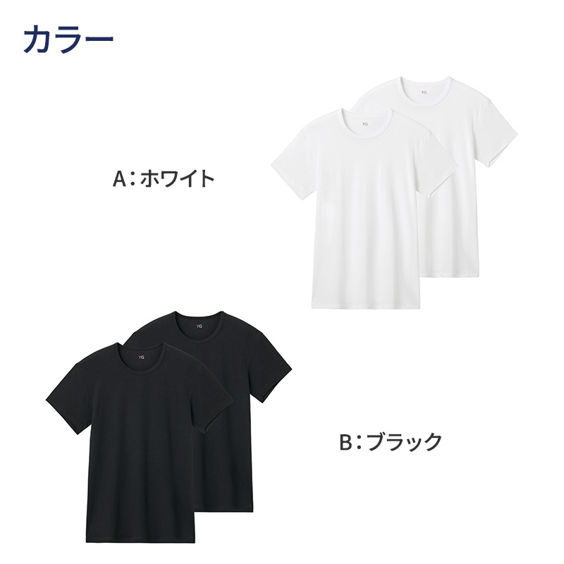 YG グンゼ 綿100 tシャツ メンズ 半袖 クルーネック 抗菌 防臭 2枚組