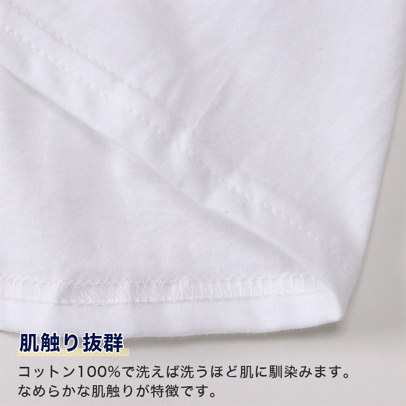 ヘインズ メンズ VネックTシャツ 3枚組 BIG 3L・4L (Hanes Global Value Line 綿100 インナー アンダーウェア 肌着 下着)