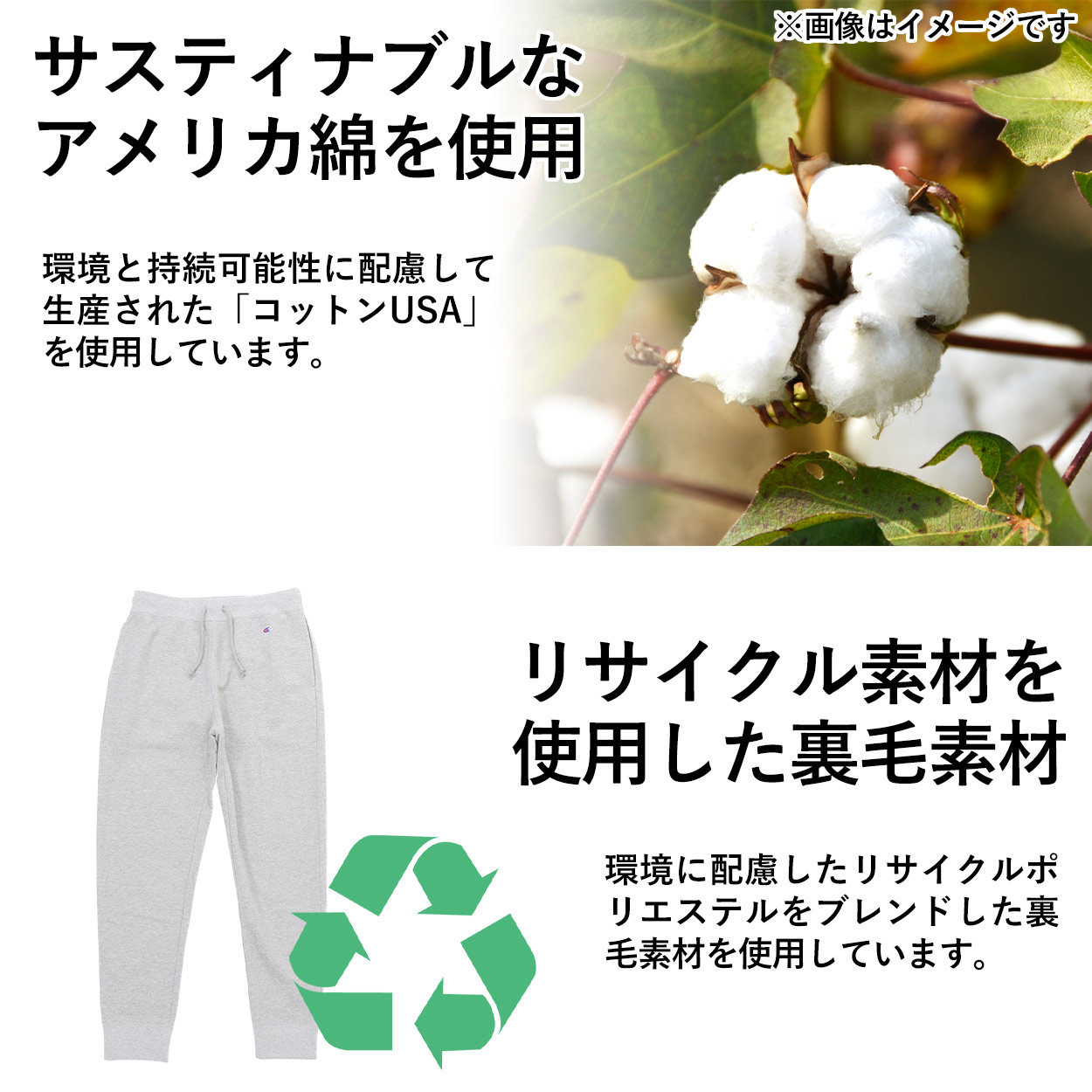 Champion チャンピオン スウェットパンツ メンズ ロングパンツ