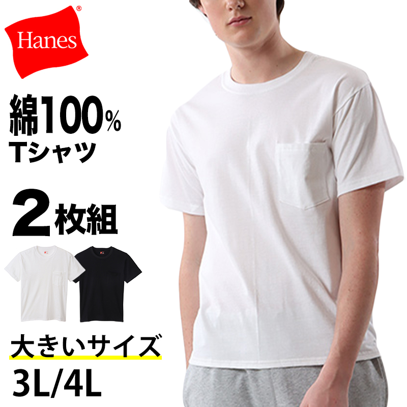 ヘインズ Tシャツ 綿100％ メンズ 2枚組 白 黒 ポケット付き ビジネス