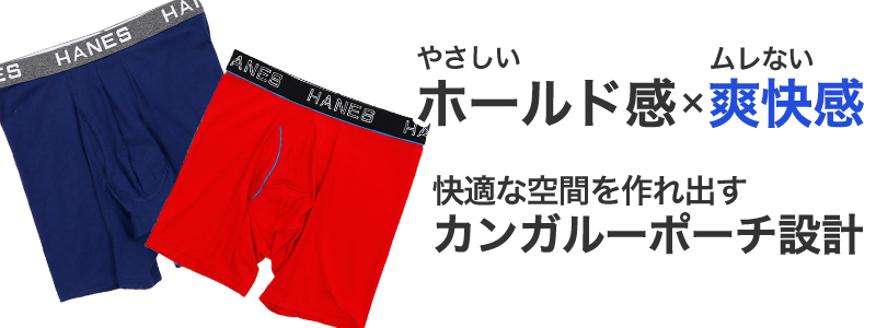 ボクサーブリーフ メンズ 下着 ヘインズ 前開き パンツ ムレ 無地 M L LL Hanes インナー ニオイ 通気性 ボクサー ブリーフ 男性 メッシュ