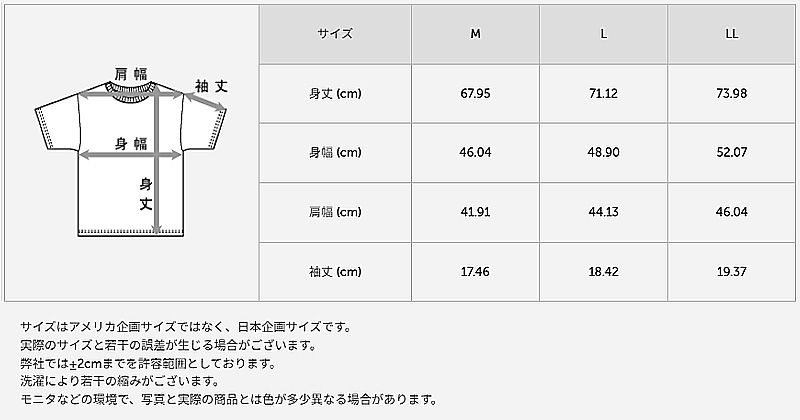 Hanes ヘインズ クルーネック Tシャツ メッシュ 2枚組 M〜LL