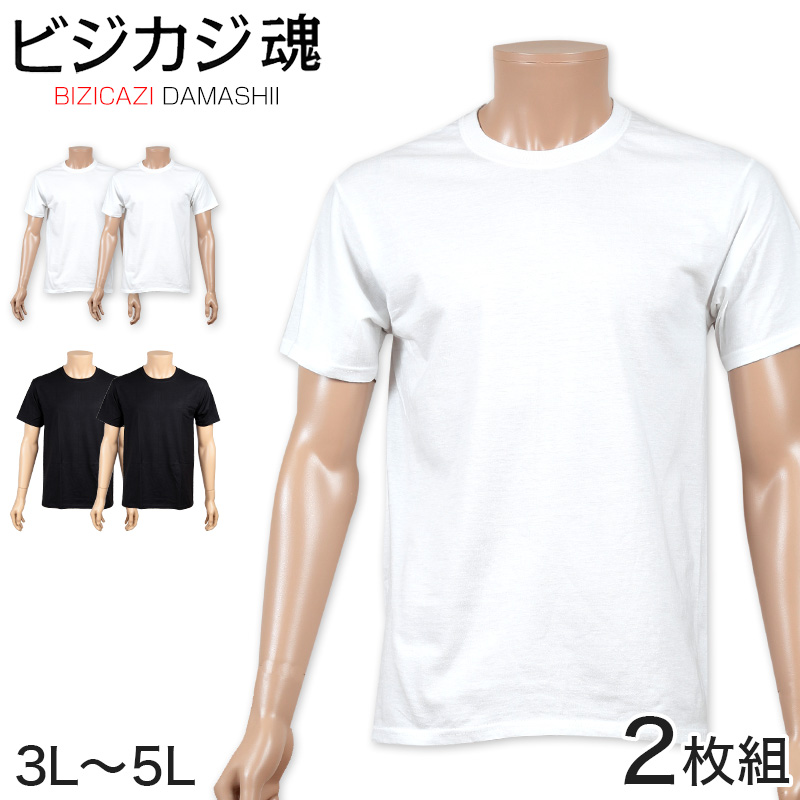 ヘインズ ビジカジ魂 Tシャツ メンズ 半袖 綿100 大きいサイズ 2枚組