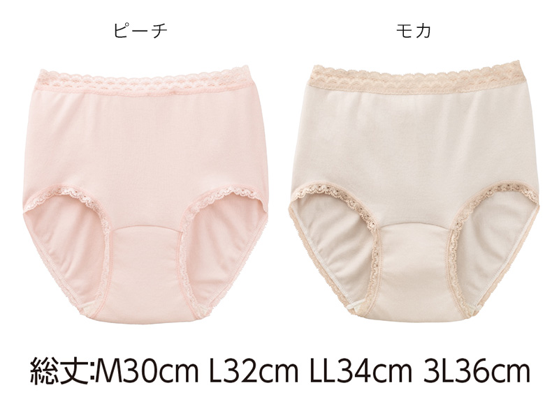 Suteteko 婦人 30cc対応 安心快適ショーツ M〜3L (中失禁 軽失禁 尿漏れ レディース パンティー 失禁パンツ 失禁ショーツ 吸水) (取寄せ)