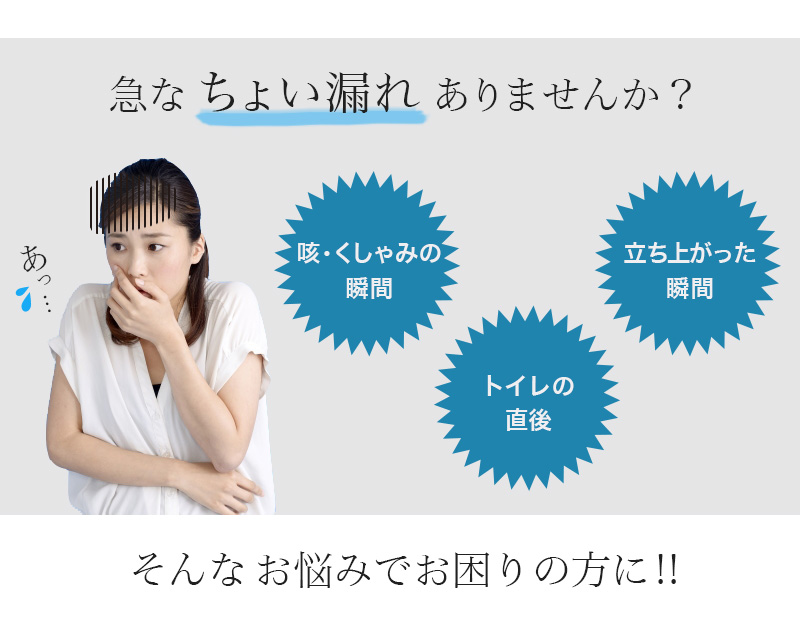 Suteteko 婦人 30cc対応 安心快適ショーツ M〜LL (中失禁 軽失禁 尿漏れ レディース パンティー 失禁パンツ 失禁ショーツ 吸水) (取寄せ)