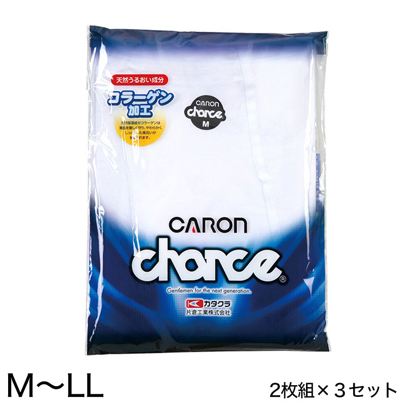 メンズ ブリーフパンツ 綿100% 下着 2枚組×3セット M〜LL (ブリーフ パンツ 肌着 紳士肌着 インナー インナーウェアー 男性 紳士 キャロン M L LL) (取寄せ)