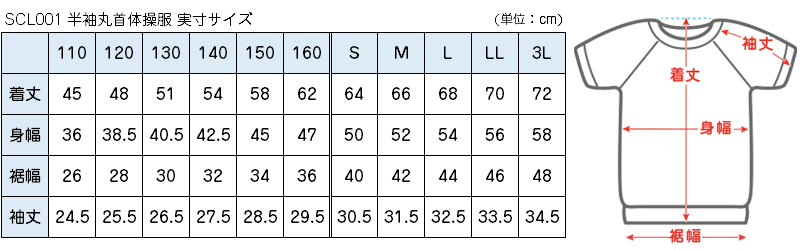 体操服 半袖 体操着 小学校 小学生 白 男子 女子 110〜160cm 半そで 女の子 男の子 速乾 子供 キッズ 綿 運動着 体育 110 120 130 140 150 160 (送料無料)