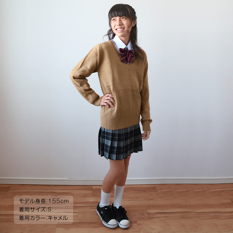 スクールセーター 女子 高校生 制服 ニット セーター 学生 Vネック S〜3L 洗える 中学生 ウール 学校 無地 紺 ベージュ 大きいサイズ 冬 秋 (在庫限り)