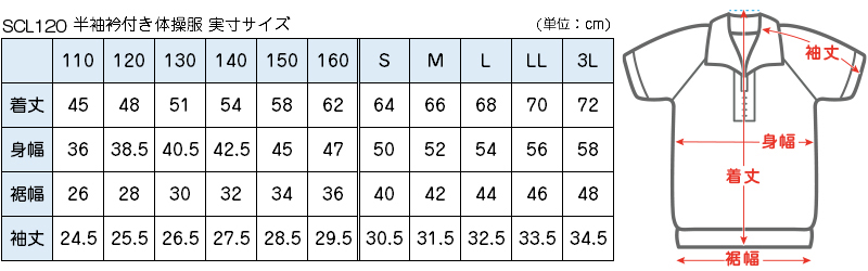 体操服 半袖 ドライ 衿付き 体操着 小学生 110〜160cm (襟付き 白 小学校 女の子 男の子 速乾 子供 綿混 半そで キッズ 夏) (送料無料)