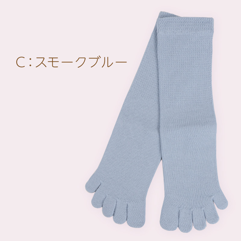 Suteteko（ステテコ） 5本指靴下 子供 クルーソックス 16-18cm・19