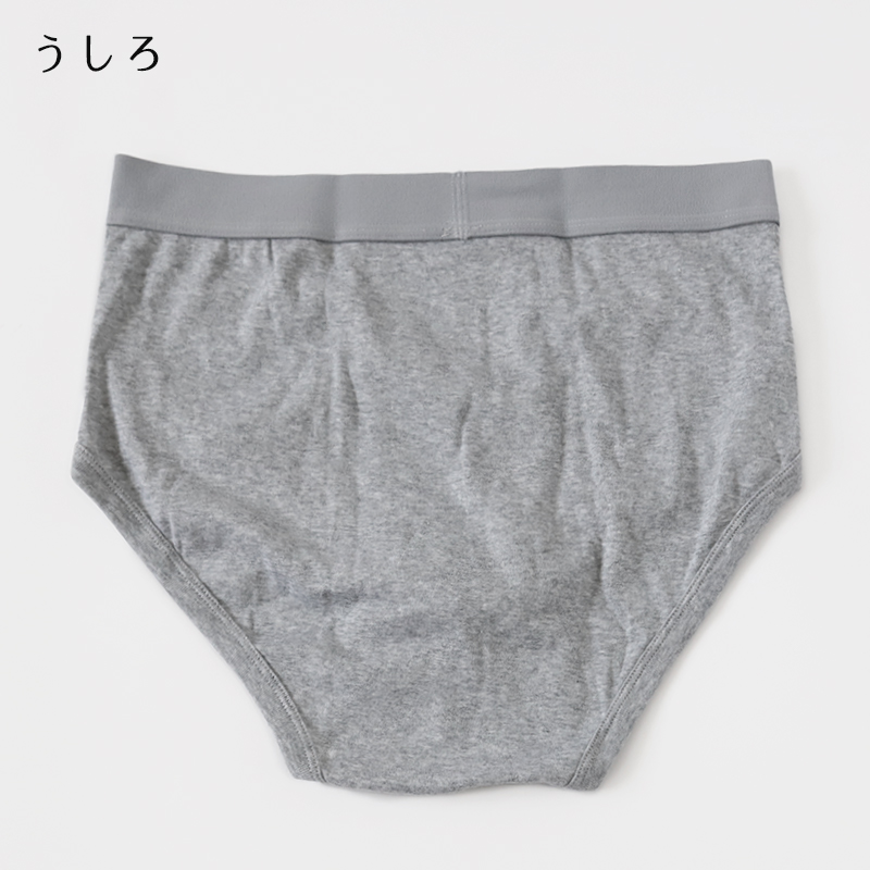 ブリーフ メンズ パンツ 綿100% スタンダード 前開き 3L・4L 大きいサイズ インナー 下着 肌着 紳士肌着 男性 紳士 パンツ 綿100％ コットン 3L 4L