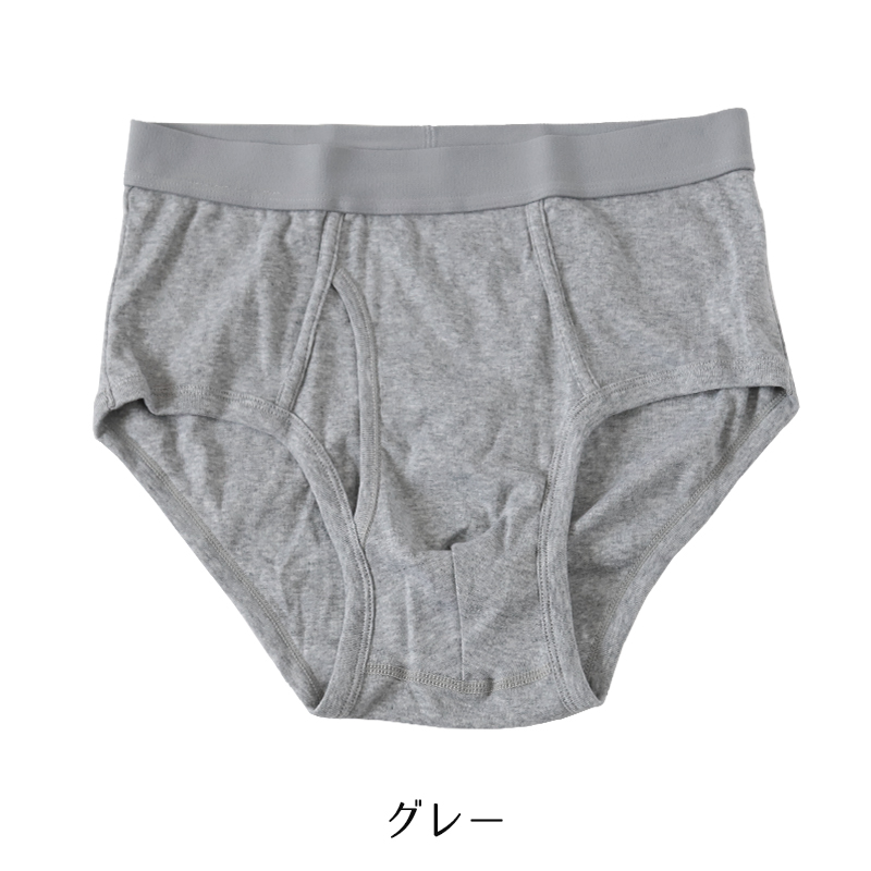 ブリーフ メンズ パンツ 綿100% スタンダード 前開き 3L・4L 大きいサイズ インナー 下着 肌着 紳士肌着 男性 紳士 パンツ 綿100％ コットン 3L 4L
